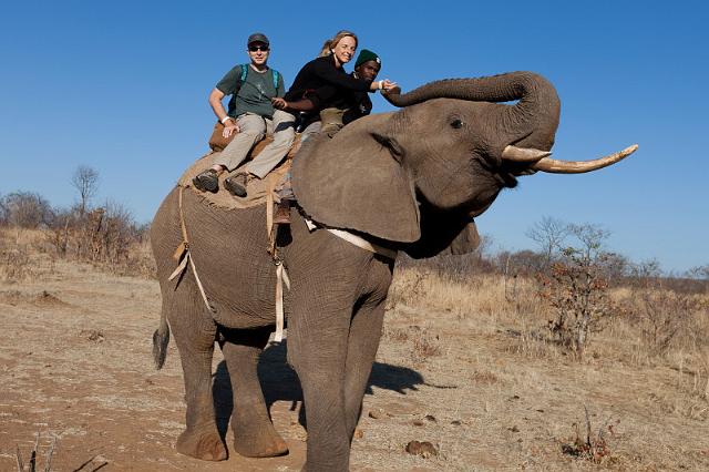 014 Zimbabwe, olifantentocht.jpg